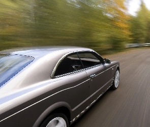 Linia, Nadwozia, Bentley Brooklands