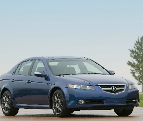 TL, Type-s, Acura