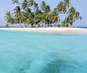 Fale, Morze, Wyspa, Palmy