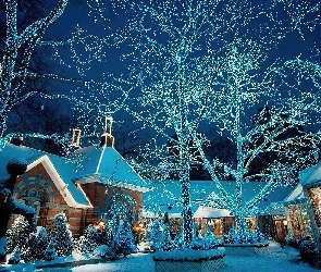 Domy, Narodzenie, Boże, Drzewa