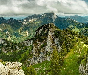 Góra, Rośliność, Chmury, Drzewa, Wysokość