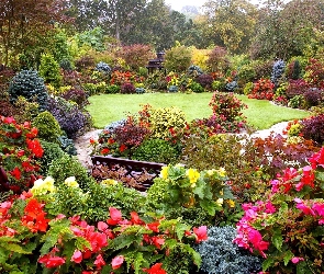 Ogród, Kolorowy