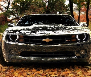 Liście, Chevrolet Camaro