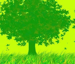 Drzewo, Grafika, Zielone