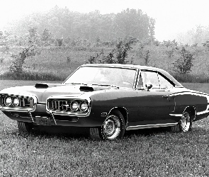 Dodge Coronet, Car, Muscle