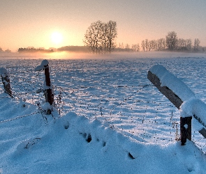 Ogrodzenie, Świt, Drzewa, Śnieg, Łąka