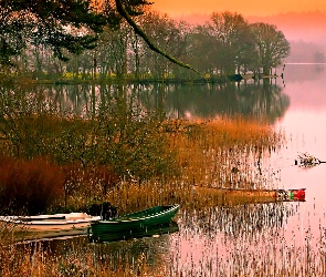 Zarośla, Las, Łódki, Staw
