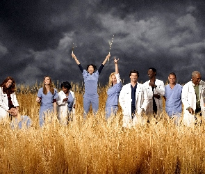 Chirurdzy, Greys Anatomy, Zboża, Chmury, Kłosy, Burzowe