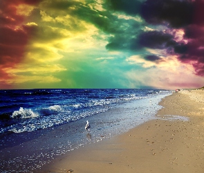Chmury, Niebo, Plaża, Kolorowe, Morze