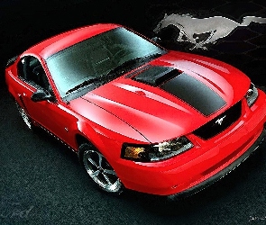 Ford Mustang, Grafika