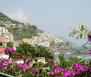 Włochy, Kwiatki, Domy, Amalfi