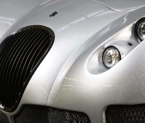 Grill, Wiesmann GT MF5