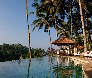 Bali, Dżungla, Palmy, Viceroy, Basen, Hotel