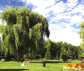 Toronto, Kanada, Park