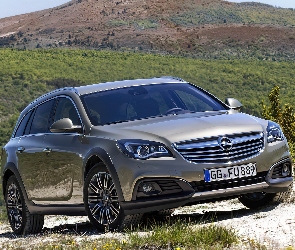 Góry, Zieleń, Opel Insignia Country