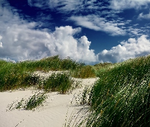 Plaża, Wydmy, Chmury