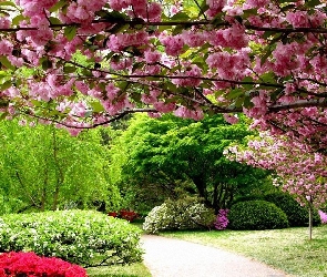 Ogród, Wiosna