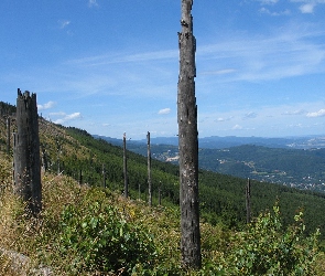 Góry, Lasy, Łąka