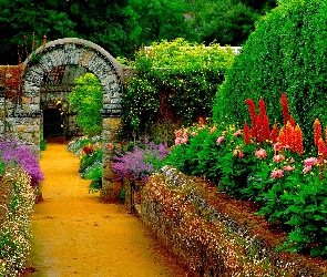 Piękny, Ścieżka, Ogród