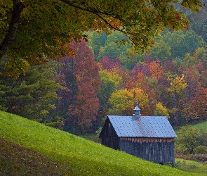 Jesień, Góry, Kolorowe, Lasy, Drzewa, Domek