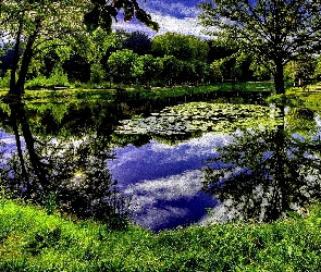 Art, Zieleń, Park, Staw