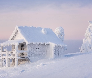 Śnieg, Drzewa, Ośnieżony, Domek