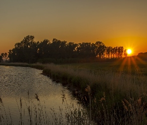 Słońca, Zachód, Trawy, Rzeka, Drzewa, Łąki