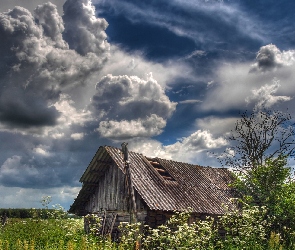 Łąka, Chmury, Szopa