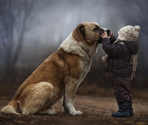 Pies, Drzewa Bullmastiff, Dziecko