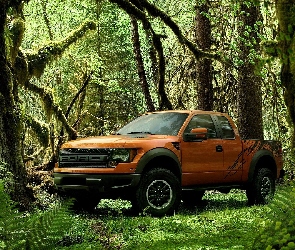 Raptor, Dżungla, Ford