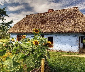 Sierpc, Słoneczniki, Chałupa, Ogródek, Skansen