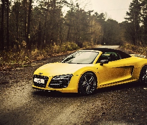 Las, Droga, Audi R8