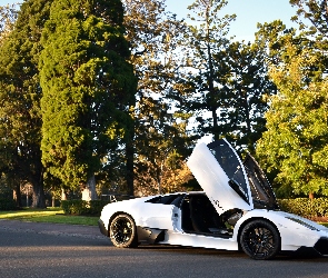 Park, Ulica, Lamborgini, Białe, Murcielago, LP670-4SV