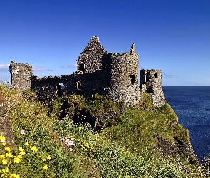 Dunluce, Zamek, Północna, Morze, Łąka, Irlandia, Ruiny