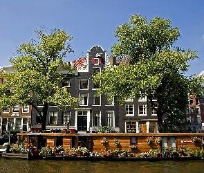 Amsterdamu, Roślinność, Fragment, Lato, Łódka, Dom, Kanał, Na Wodzie, Kamienice
