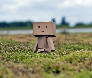 Danbo, Rozmycie, Łąka