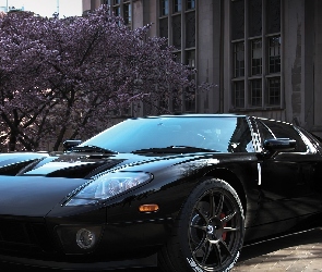 Ford, GT