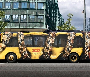 Wąż, Drzewa, Autobus, Ulica