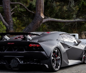 Lamborghini, Drzewo, Ulica, Sesto Elemento, Czarne