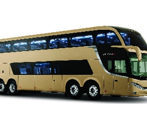 Comil Campione, DD, Autobus