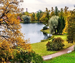 Park, Jesień, Staw