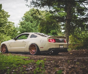 Mustang, Ford