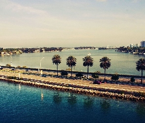 Miami, Palmy, Samochody, Droga, Stany Zjednoczone