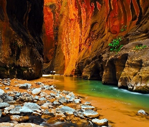 Stan Utah, Rzeka Virgin River, Kanion, Park Narodowy Zion, Stany Zjednoczone