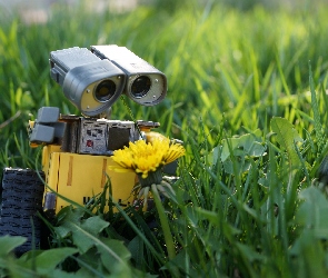 Robot, Trawa, Łąka, Kwiaty, Fotografujący