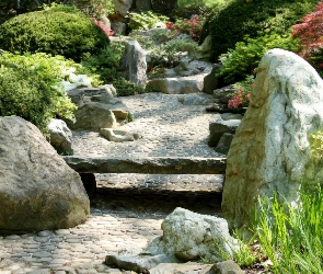 Kamienie, Rośliny, Ogród