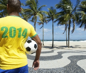Świata, Mistrzostwa, Piłka, 2014, Brazylia, Mężczyzna, Palmy