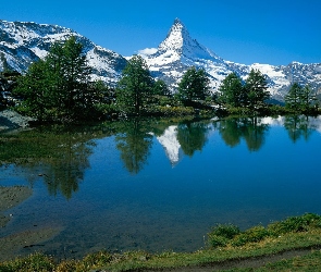Góry, Drzewa, Szczyt Matterhorn, Jezioro, Alpy