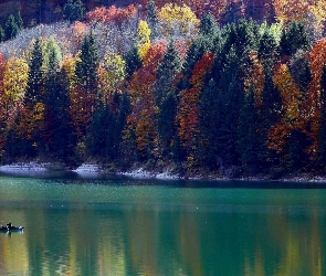 Jezioro, Łódka, Jesień, Kolorowe, Drzewa, Lasy