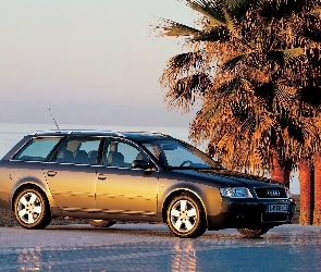 Audi A6, Palmy